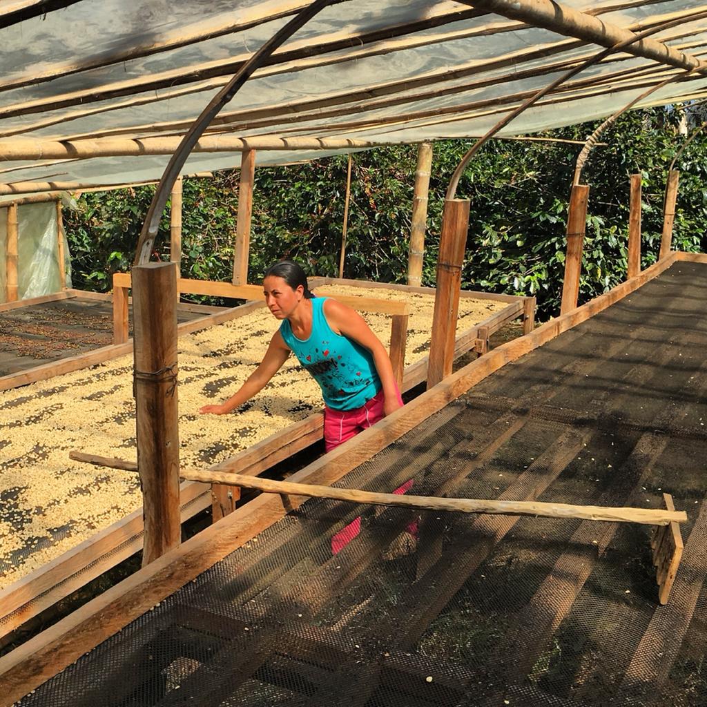 La culture du café en Colombie Le café qui fume