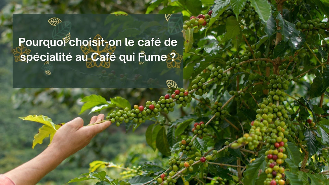 Pourquoi choisir le café de spécialité ?
