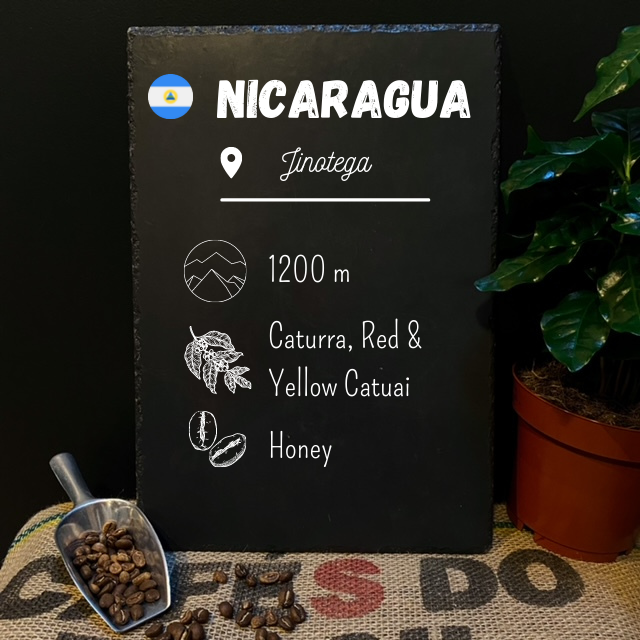Café en grain du Nicaragua