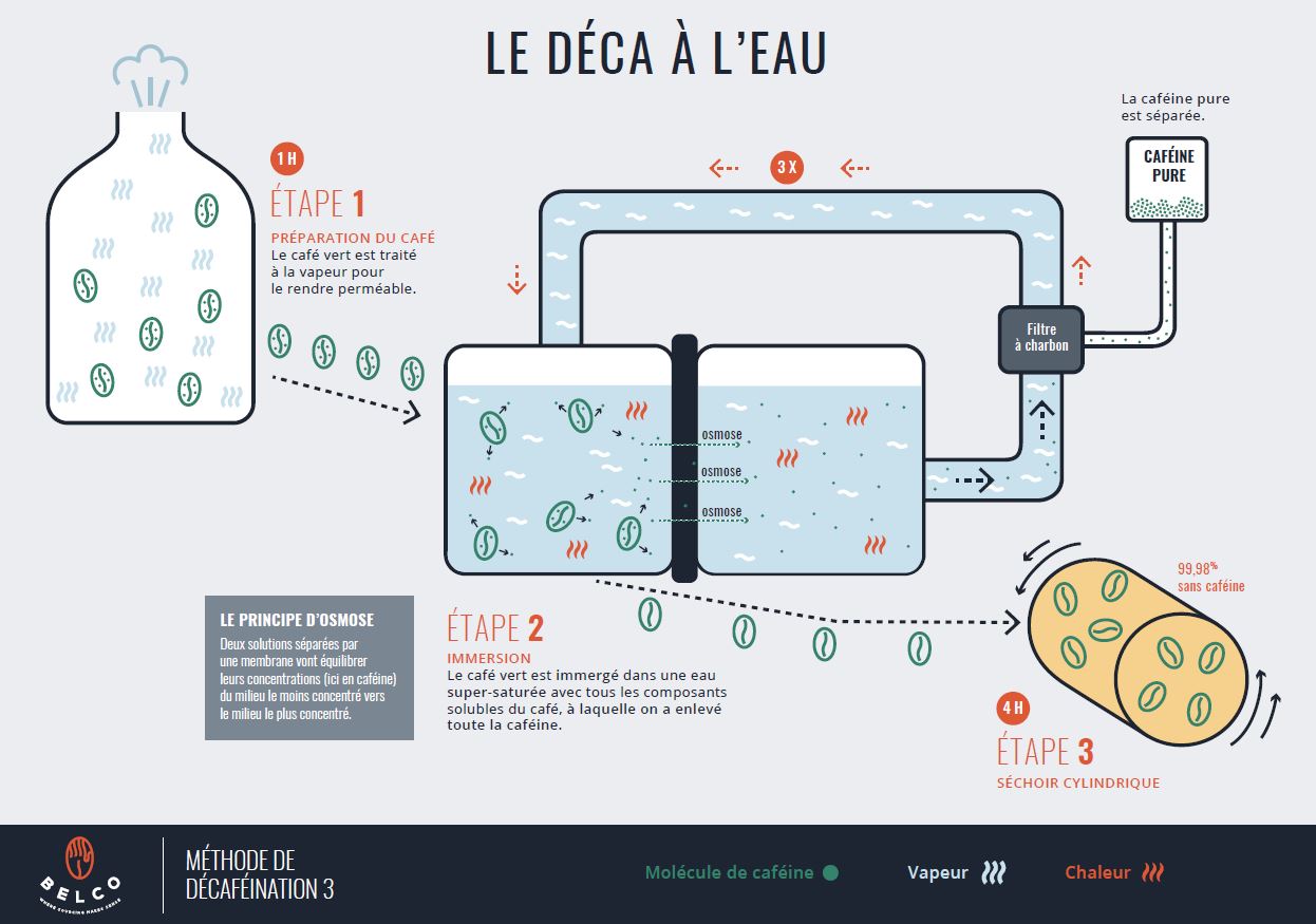 Process de décaféination à l'eau du café vert par osmose