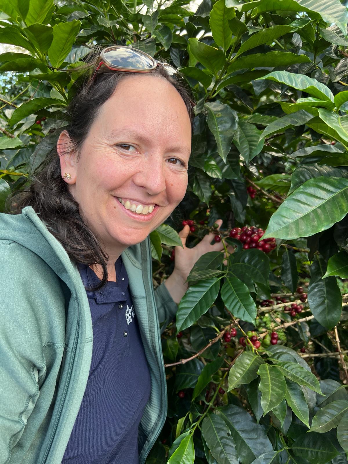 Café en grain du Costa Rica