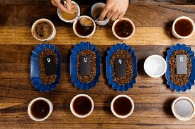 séance de cuping du café