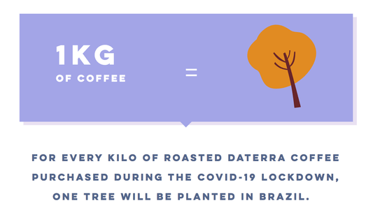1Kg de café = 1arbre planté avec Daterra - Café du Brésil - Le café qui fume