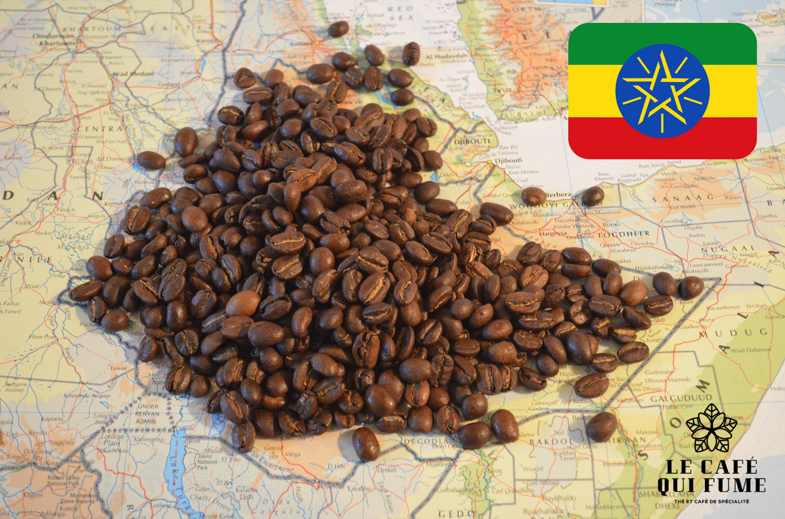 La culture du café en Ethiopie 