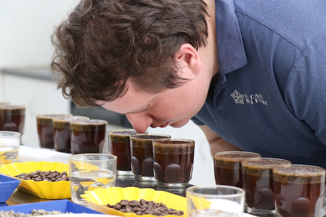 Image Principale Cupping