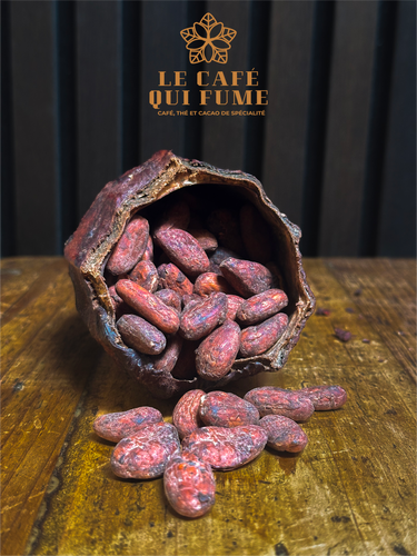 Photo de fèves de cacao dans une cabosse coupée 