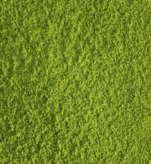 thé matcha de cérémonie "jade du japon" bio