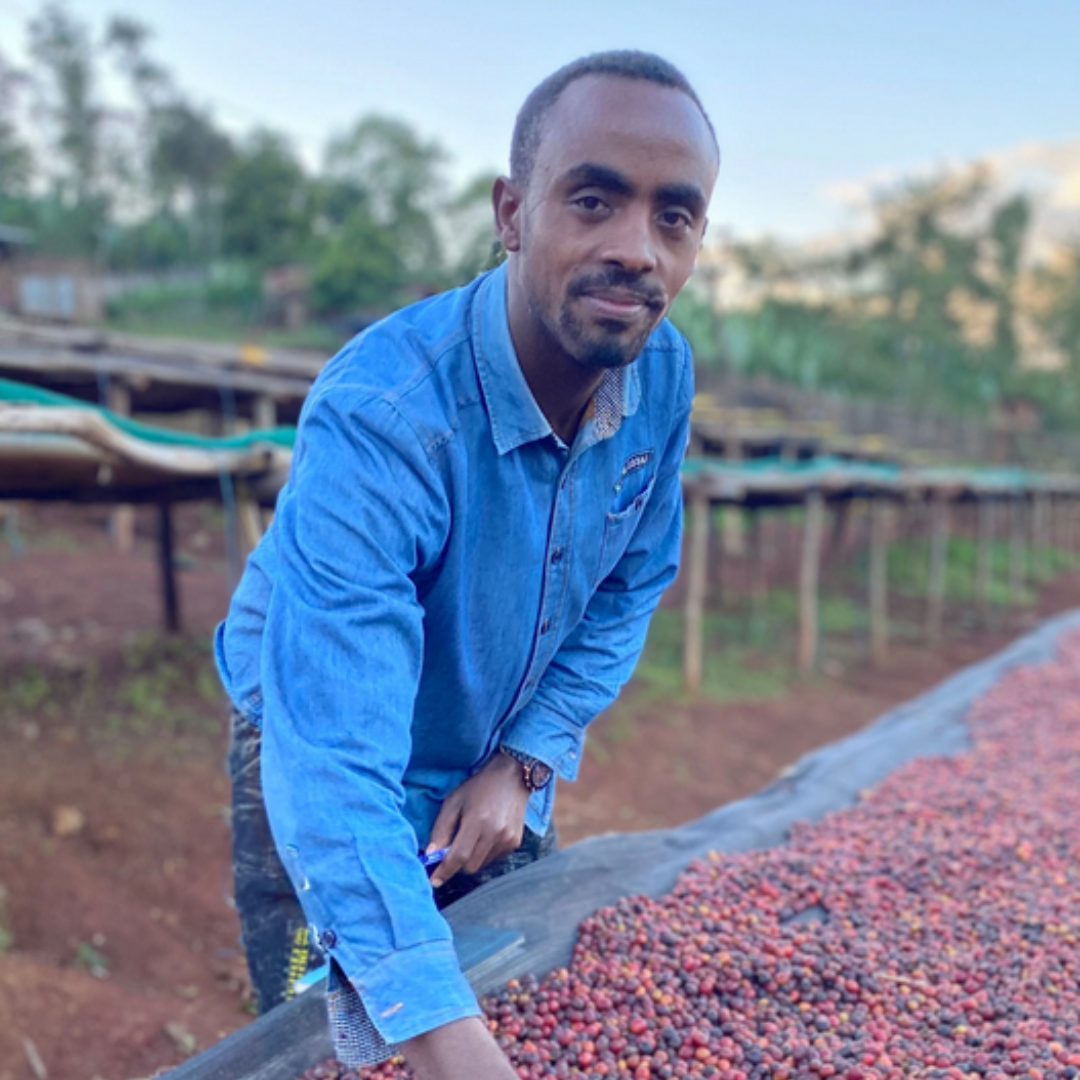 Producteur de café d'Éthiopie avec cerise de café