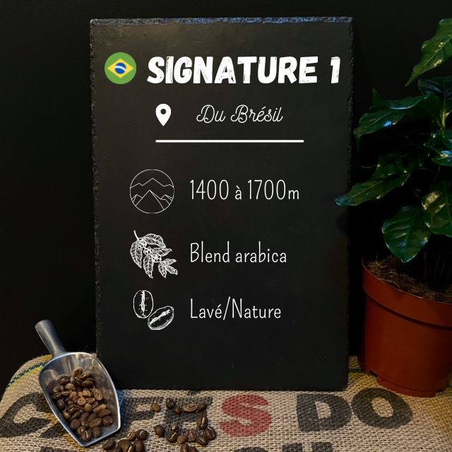 Café en grain Brésil Signature 1