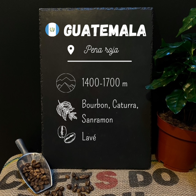 Fiche café du Guatemala Pena roja