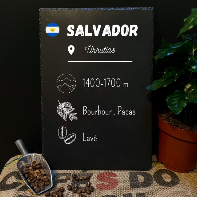 Café en grain Ahuachapan du Salvador