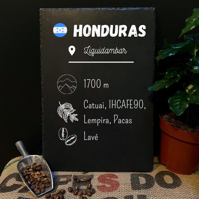 Café en grain du honduras - arômes raisin et chocolat
