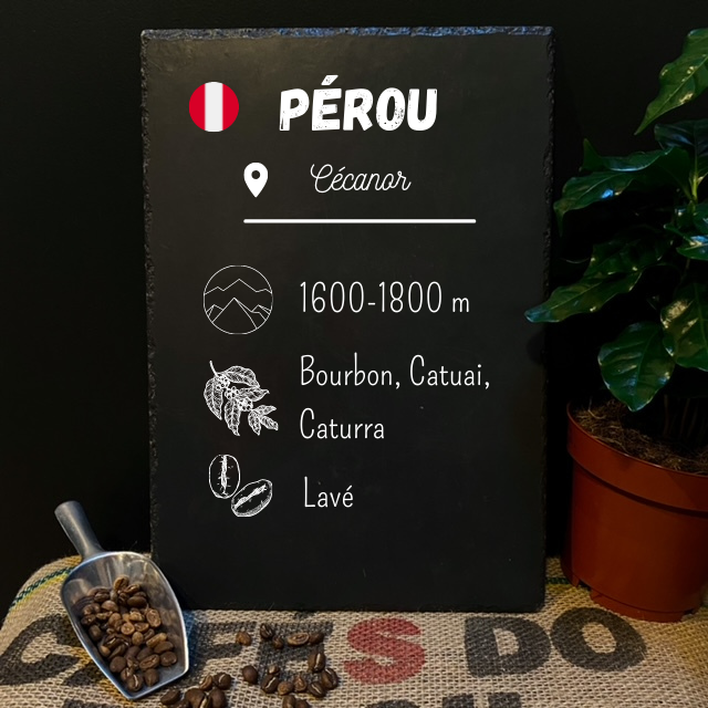 Café fin en grain du Pérou