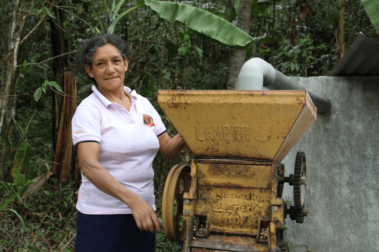 Femme qui dépulpe les cerises avant séchage 